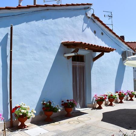 Villino La Perla Azzurra- Marina Di Pisa Villa Kültér fotó